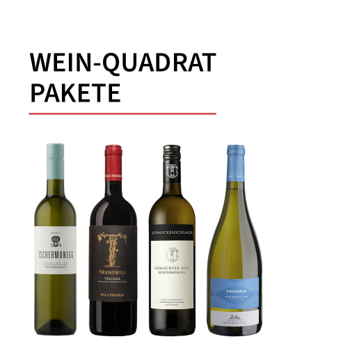 Wein Quadrat Pakete Üeberraschungspaket - Online günstig kaufen