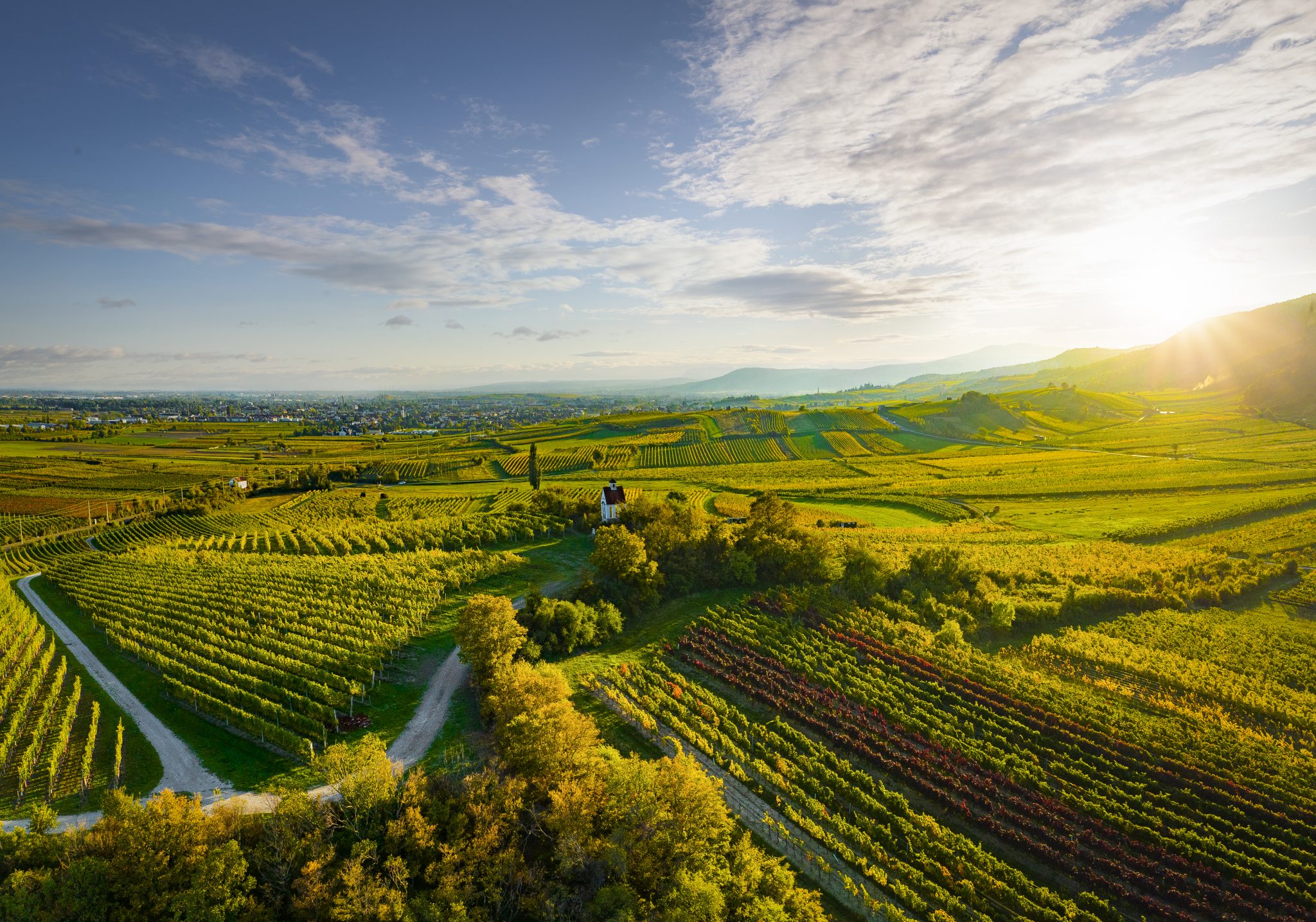 Ried Mandel-Höh, Traiskirchen, Thermenregion, Niederösterreich © ÖWM / WSNA