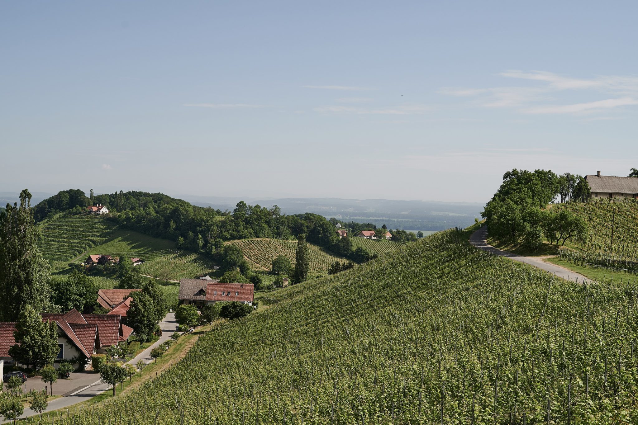 Weingut Polz Suedsteiermark