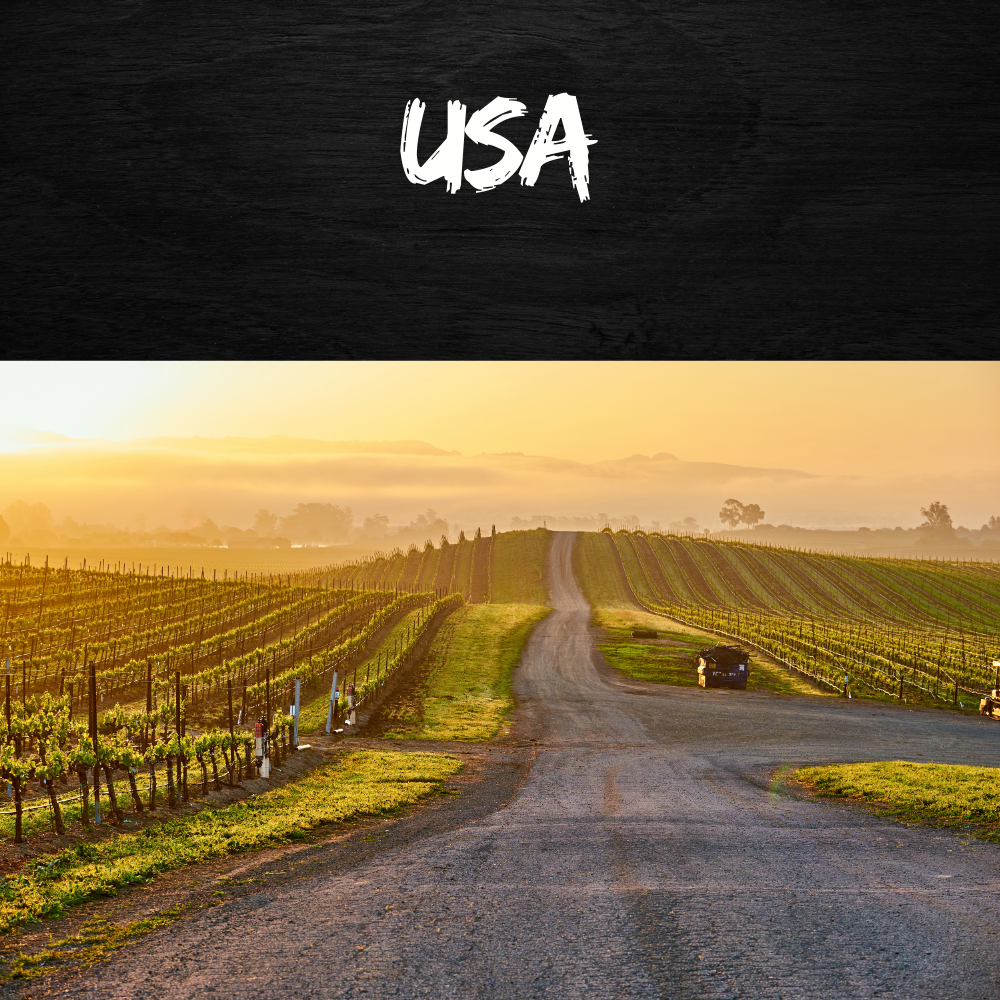usa