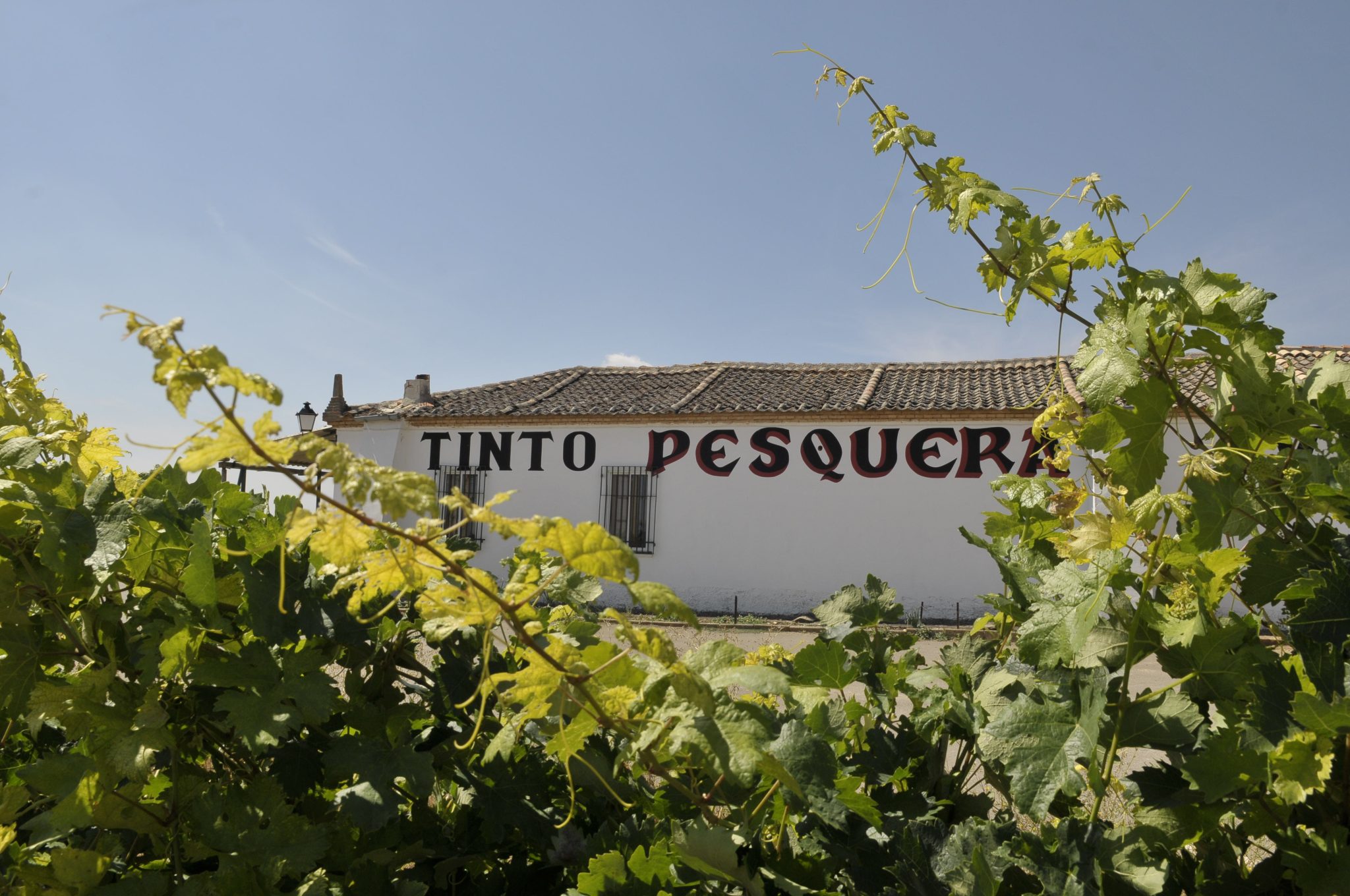 pesquera