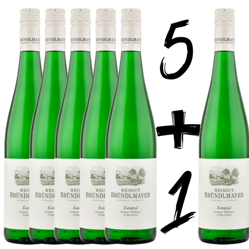 Weinpaket 5+1 gratis BRÜNDLMAYER Grüner Veltliner Kamptaler Terrassen