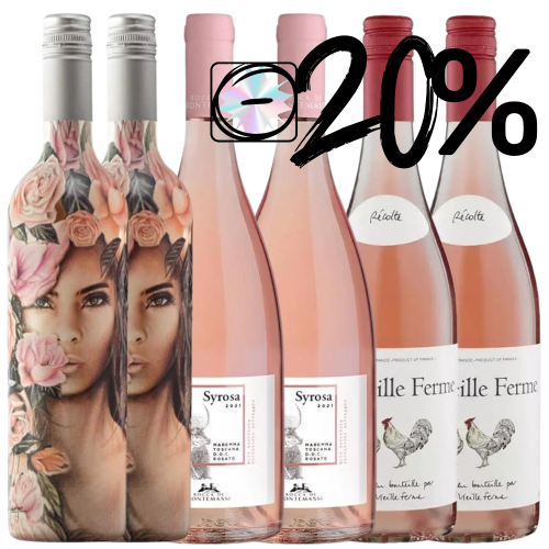 Rosé-Weltreise 6er Weinpaket aus Chile Frankreich & Italien