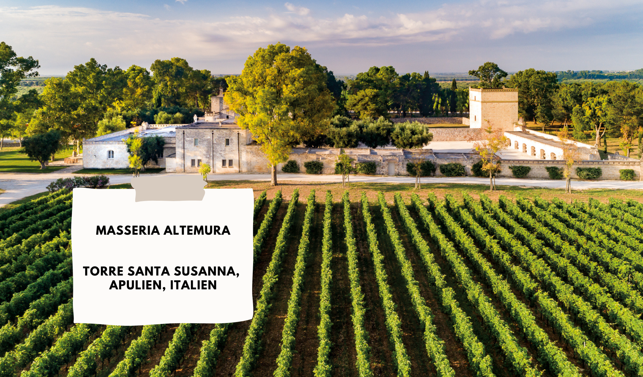 masseria altemura weingut apulien